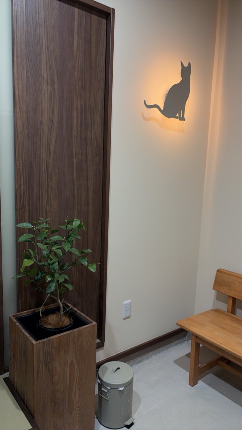 店内の壁にかけられた猫のオブジェと観葉植物